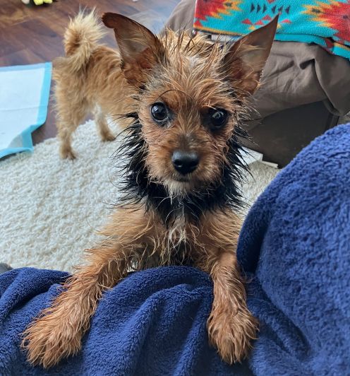 Bath Day coco .jpg